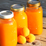 bulk apricot juice concentrate