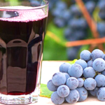 bulk concord grape juice concentrate