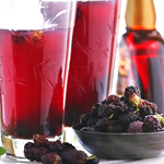 bulk mulberry juice concentrate