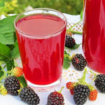 bulk nfc boysenberry juice