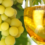 bulk white grape juice concentrate